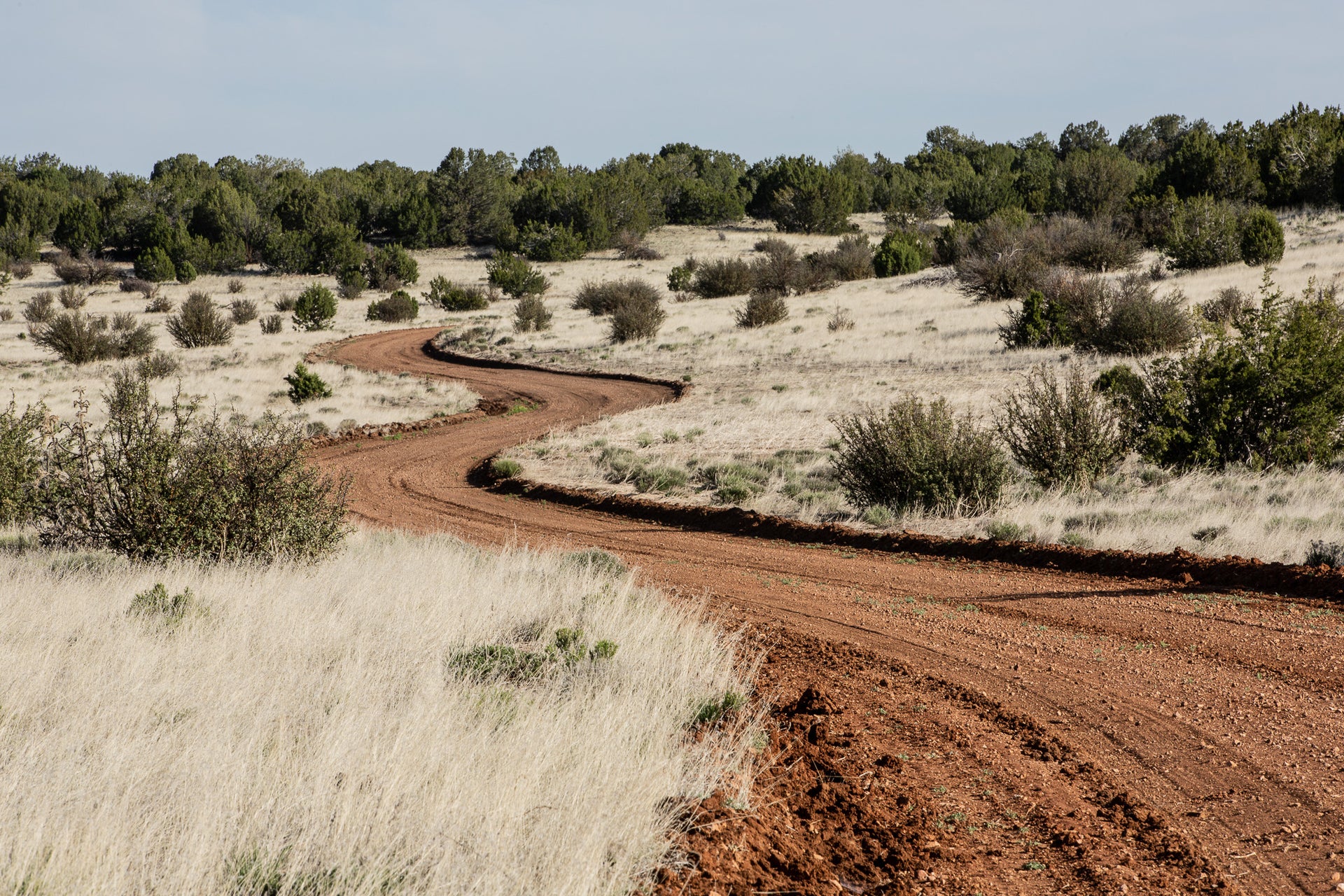 where to hunt elk on the big boquillas